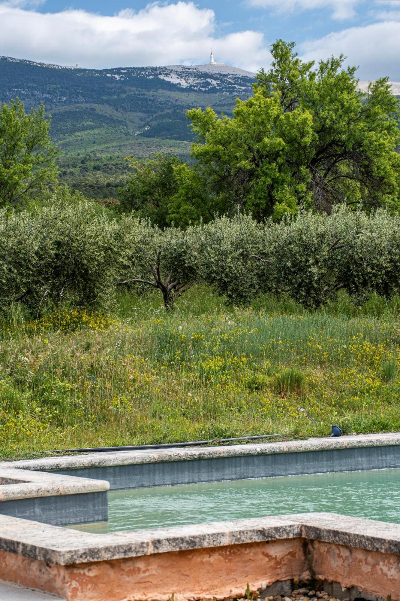 Maison De La Porte Des Loups Dans Le Ventoux Holiday home Bedoin